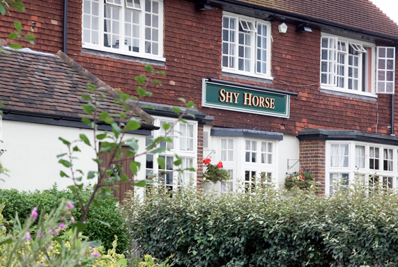 The Shy Horse in Chessington