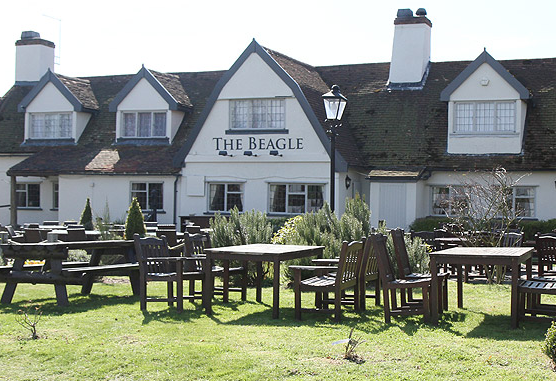 The Beagle in Ipswich