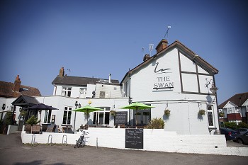 The Swan