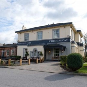 The Cheshire Cat The Cheshire Cat