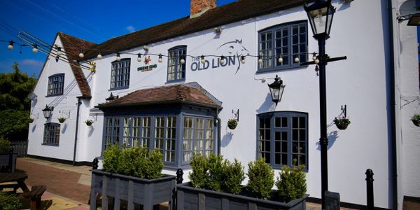 The Old Lion